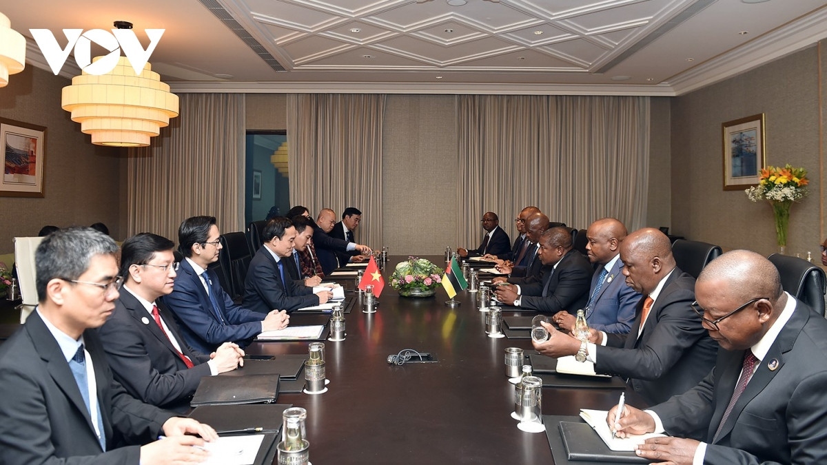 Vietnam treasures cooperative ties with Mozambique